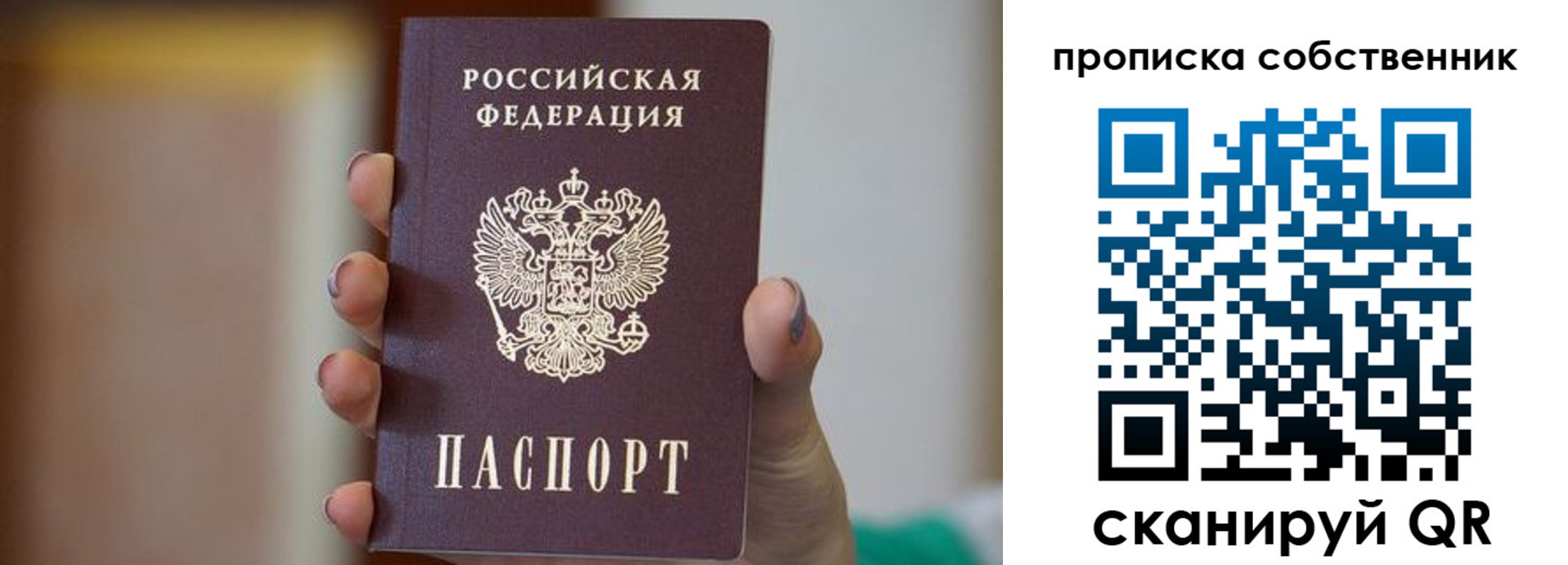 прописка поиск в Зиме